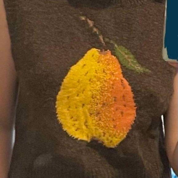 Cider Women’s Size M Wool Alpaca Brown Pear Sweater Vest V Neck Collegiate Tank - Picture 3 of 11